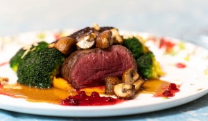  Gäste Fotoeinsendungen 