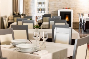  Hotel Menapace in Torri del Benaco 