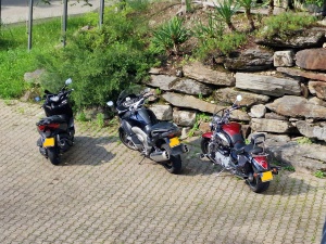  Gäste Fotoeinsendungen 