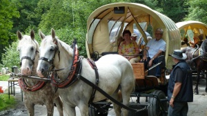  Gäste Fotoeinsendungen 