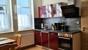  Ferienwohnung Zur alten Tischlerei in Oberhof 