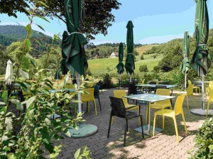  Hotel, CafÃ© & Restaurant MÃ¼hlenglÃ¼ck in Oppenau 