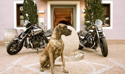  Gäste Fotoeinsendungen 