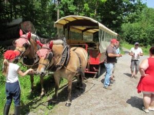 Gäste Fotoeinsendungen 