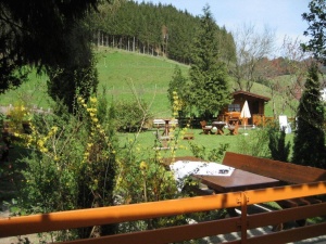  Hotel ALBANS Sonne in Bad Rippoldsau-Schapbach 