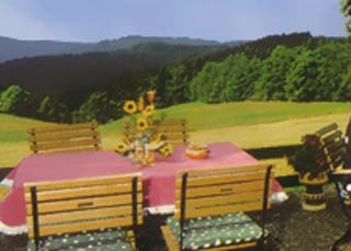  Hotel Pension Fernblick in Sankt Andreasberg 