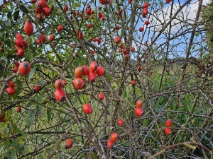  Gäste Fotoeinsendungen 