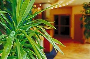  Hotel Lemp in KÃ¶ln 