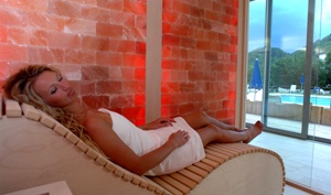  BellaVista Relax Hotel in Levico Terme 
