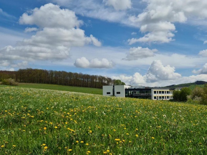  Familien Urlaub - familienfreundliche Angebote im Hotel FÃ¼nf10 in Netphen-Deuz in der Region Sauerland 